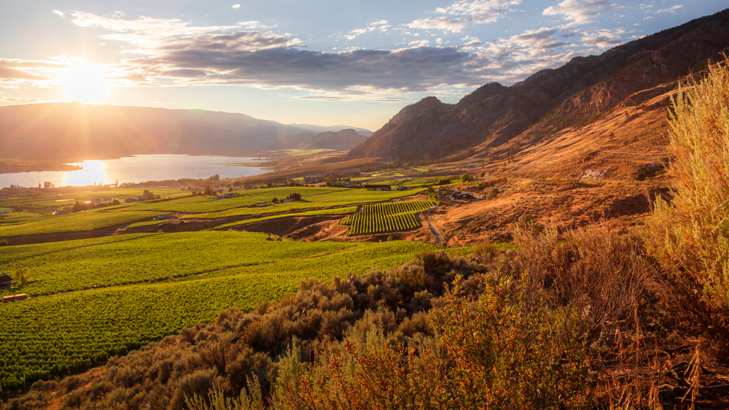 Kanada British Columbia Osoyoos iStock StephenBridger